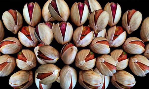 تصویر 5 از فروش پسته کله قوچی رفسنجان + قیمت خرید به صرفه